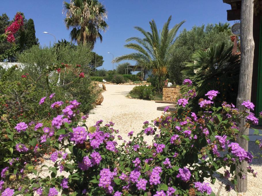 Il Colle Del Rustico Bed & Breakfast Agrigento Exterior foto