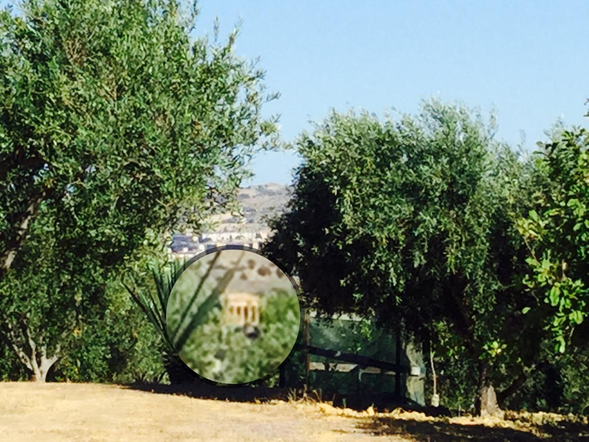 Il Colle Del Rustico Bed & Breakfast Agrigento Exterior foto