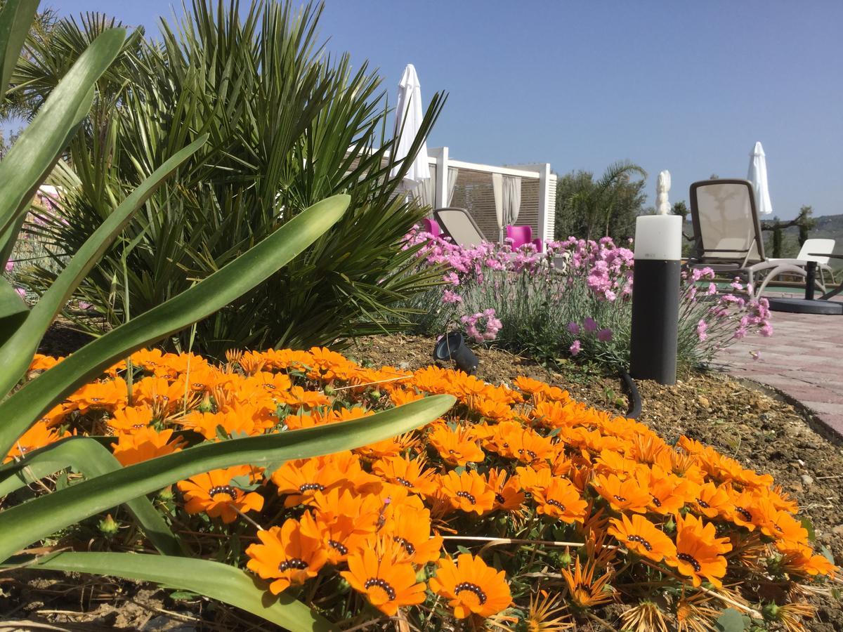 Il Colle Del Rustico Bed & Breakfast Agrigento Exterior foto