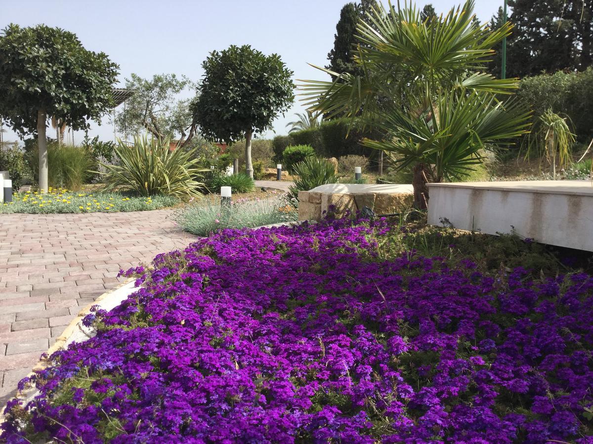 Il Colle Del Rustico Bed & Breakfast Agrigento Exterior foto